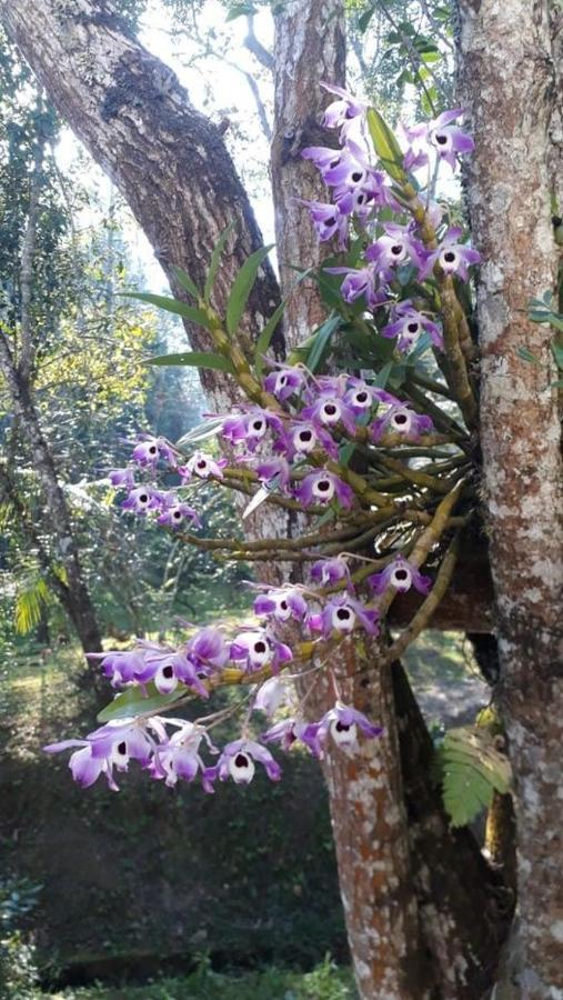 Chacara Da Promessa De Deus Villa Icatuacu Kültér fotó